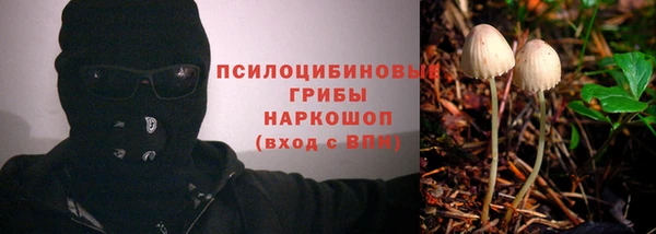 прущие крисы Богородицк