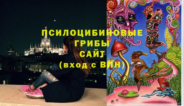 прущие крисы Богородицк