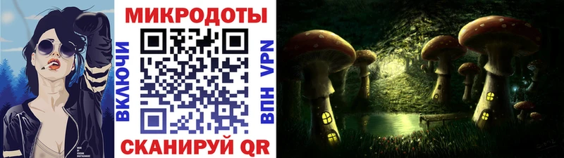 Псилоцибиновые грибы Cubensis цена наркотик Вышний Волочёк
